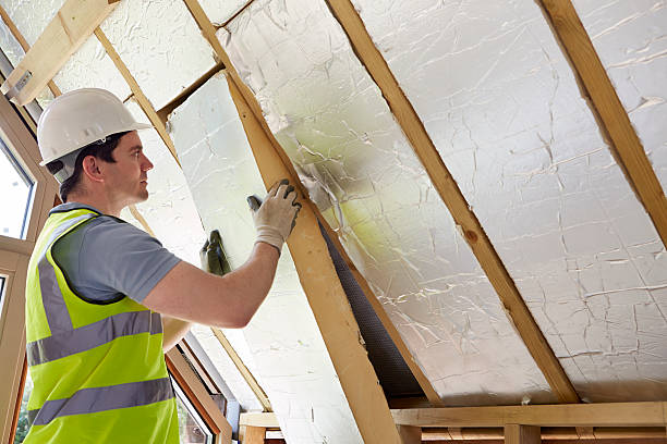 Best Specialty Insulation in Federalsburg, MD